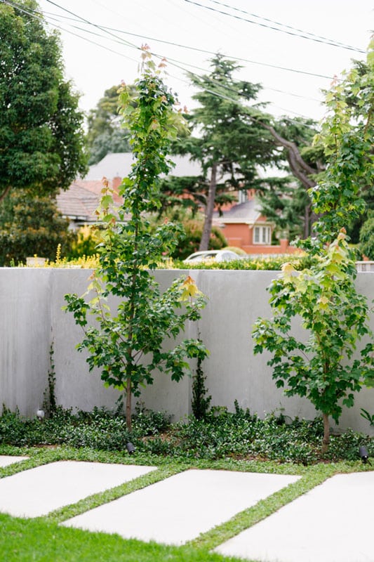 professional landscaped front garden with pavers and concrete wall in the background