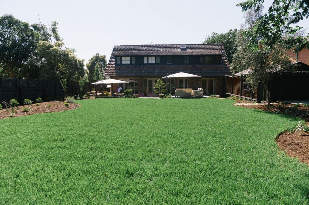 large backyard lawn custom designed by a professional landscaping balwyn