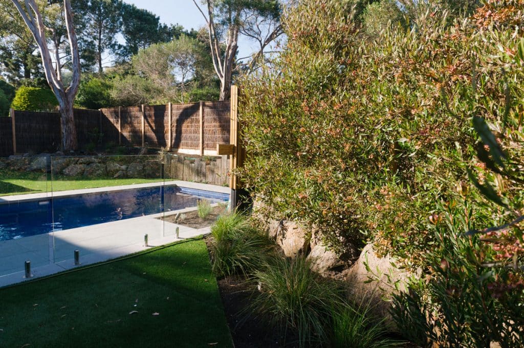 natural custom landscape surrounding a courtyard concrete pool