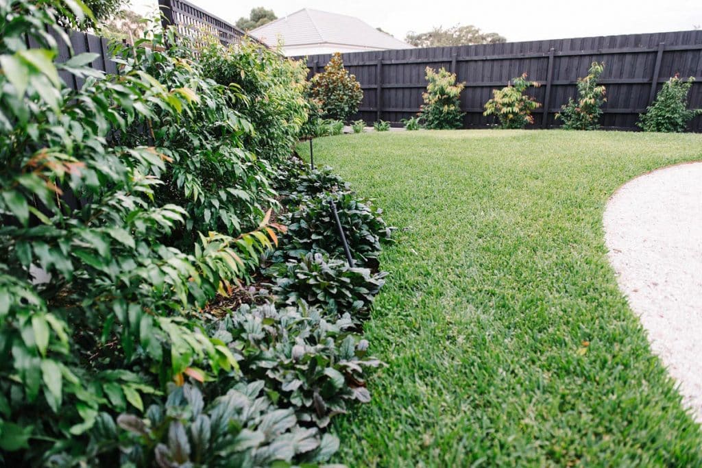 lawn and outdoor landscape in melbourne