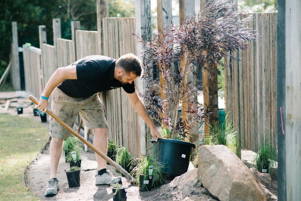 a professional landscaper planting a tree in mornington peninsula